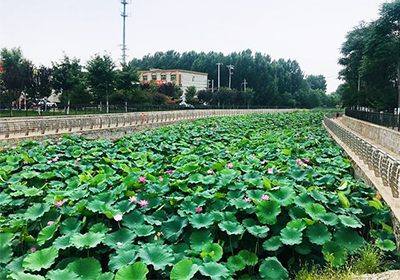 2022景觀園林行業發展趨勢及市場現狀分析